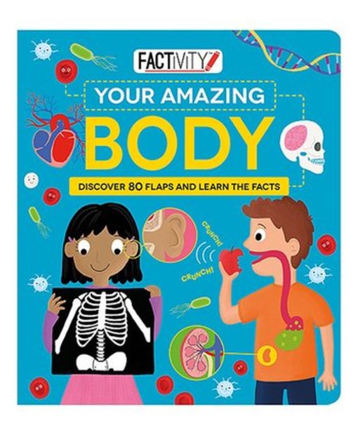 Factivity Lift the Flap Your Amazing Body book