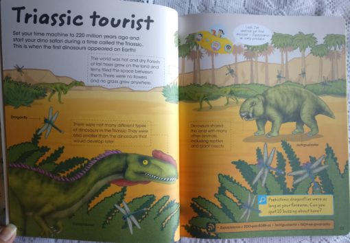 Factivity Dinosaurs Inside page 3