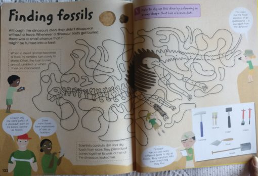 Factivity Dinosaurs Inside page 8