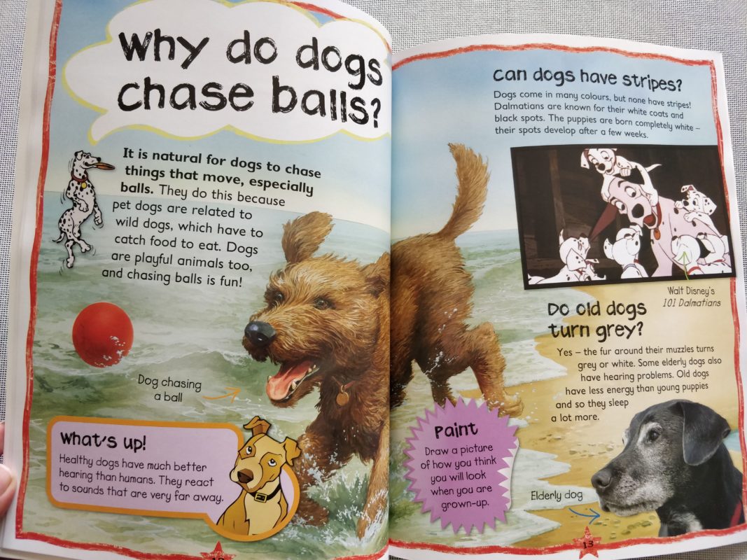 dog quiz for kids
