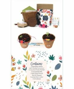 Plantable Seed Rakhi Classic Kit with contents