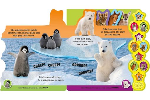 baby animals boardbook with 10 sounds 9781789053944 inside2