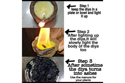 Diwali Diyas how to use 1