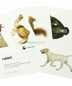 Domestic Animals Flashcards (2)