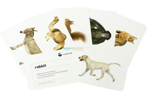 Domestic Animals Flashcards 2