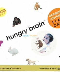 Domestic Animals Flashcards cover by Hungry Brain