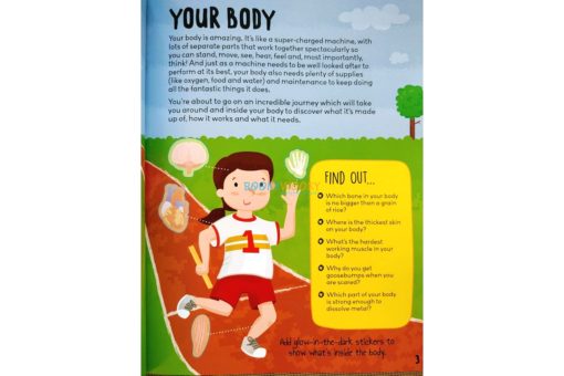 Know and Glow Human Body Sticker Activities 6