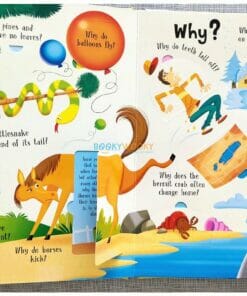 Lift A Flap Book Amazing & Curious Facts about the World (4)