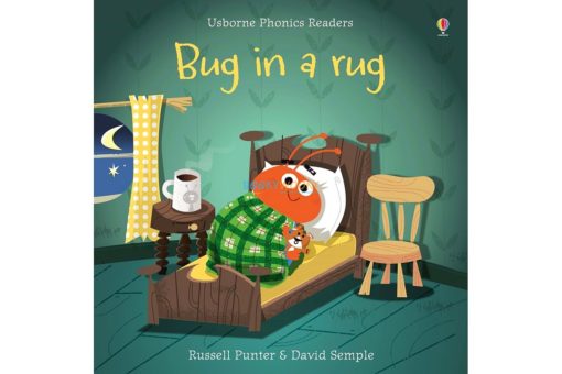 Bug in a Rug Usborne Phonics Readers 9781409580430 cover
