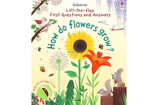 Lift the Flap First Questions and Answers How Do Flowers Grow cover