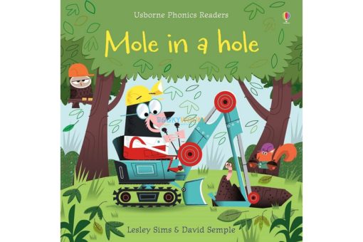 Mole in a Hole Usborne Phonics Readers 9781409580423 cover
