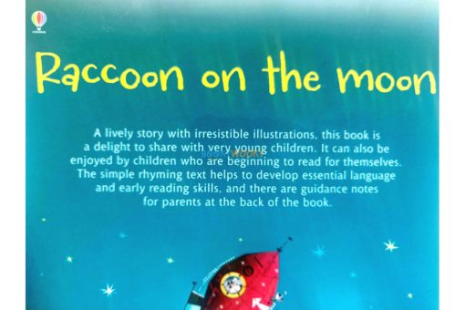 Raccoon on the Moon Usborne Phonics Readers 3