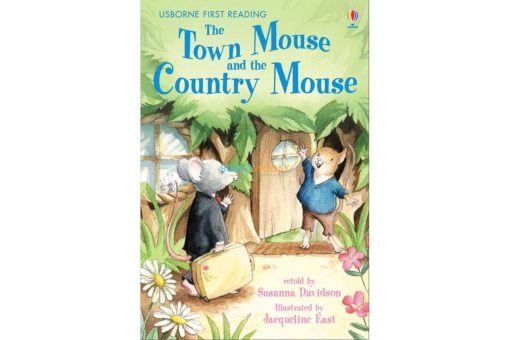 The Town Mouse and the Country Mouse 9780746091623 1