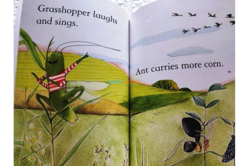 The Ant and the Grasshopper Usborne First Reading Level 1 9781409500766 inside 2jpg
