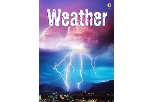 Weather Usborne Beginners 9780746071496jpg