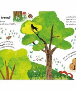 Trees A Lift-The-Flap Eco Book