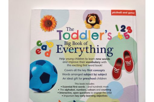 The Toddlers Big Book of Everything back coverjpg