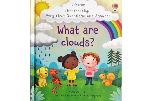 What are Clouds Very First Questions and Answers Lift The Flap coverjpg