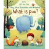 What is Poo Very first Q A Lift the Flap coverjpg