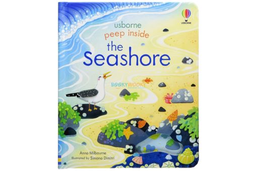 Peep Inside the Seashore by Usborne coverjpg