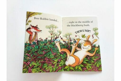 Brer Rabbit and the Blackberry Bush Level 2 9781409504412
