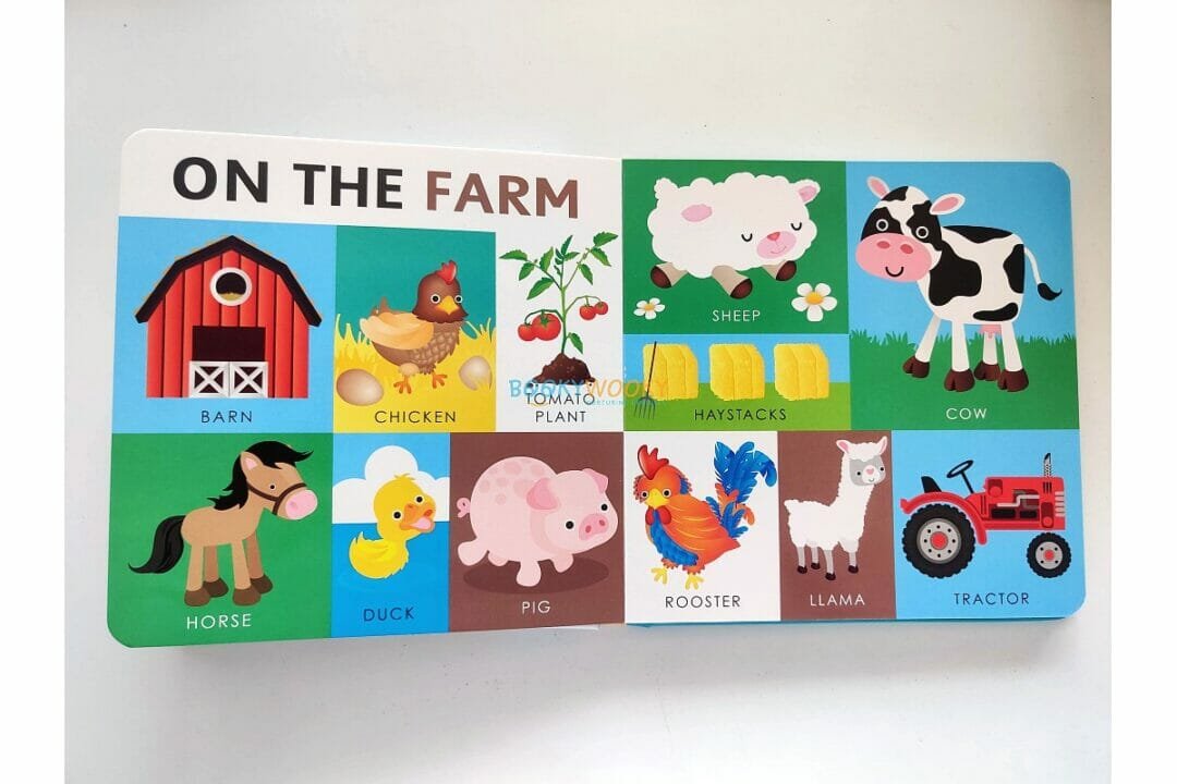 My First Words BoardBook 9781648331473