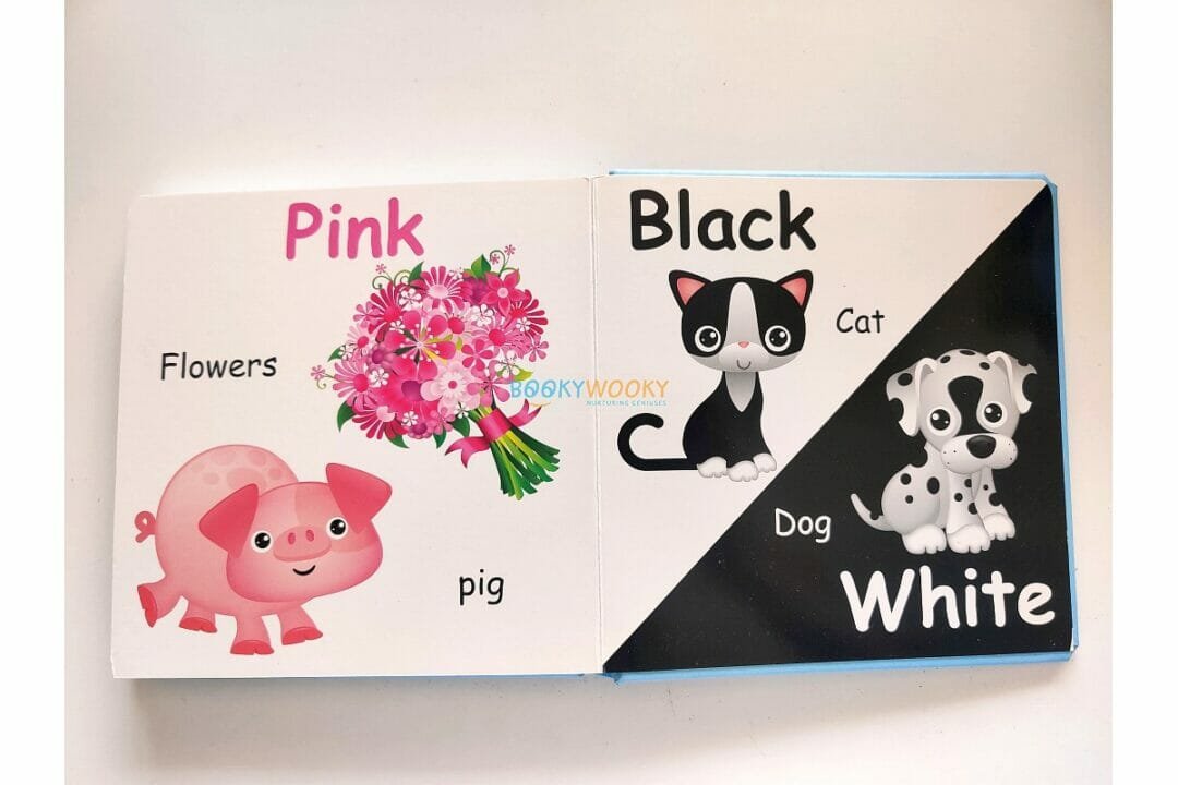 Opposites Shapes and More BoardBook 9781951086855