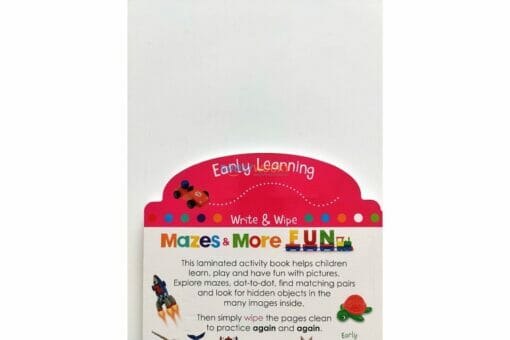 Early Learning Write Wipe Mazes More Fun 9781648330476 1