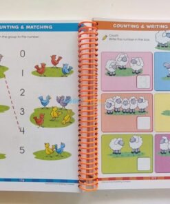 School Zone Big Kindergarten Workbook 9781488909245