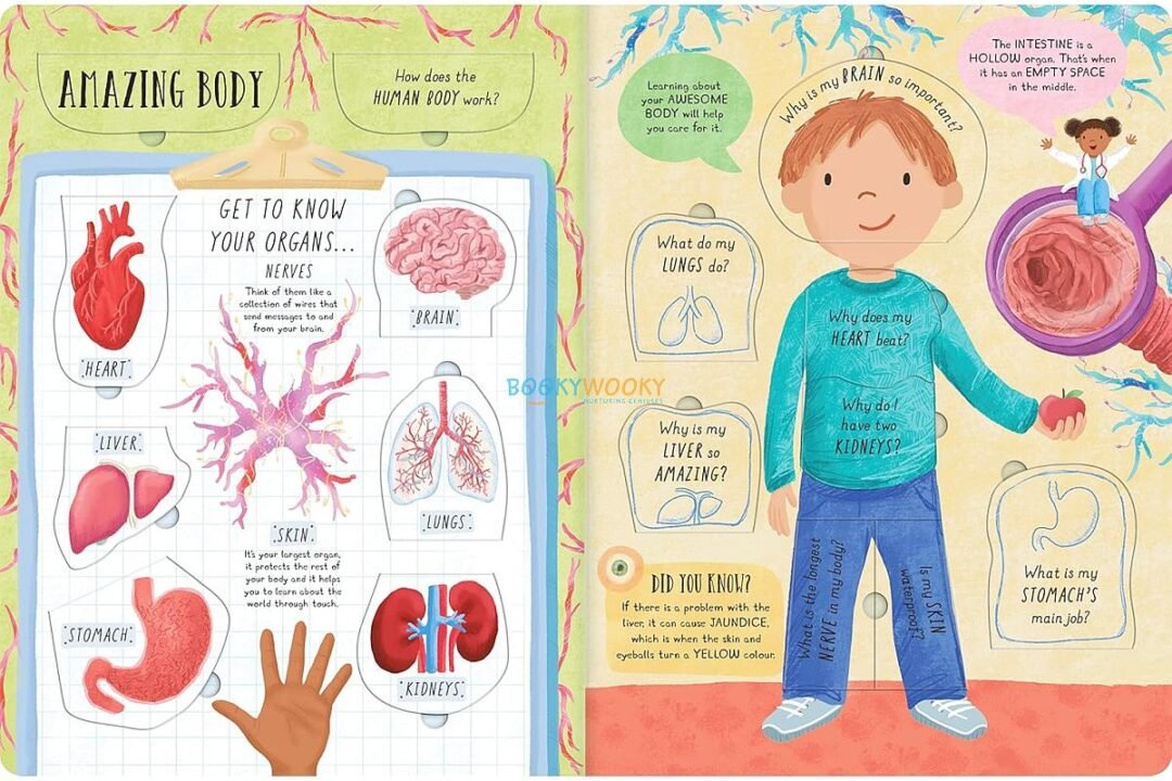 How Does the Human Body Work 9781839234613