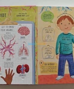 How Does the Human Body Work 9781839234613