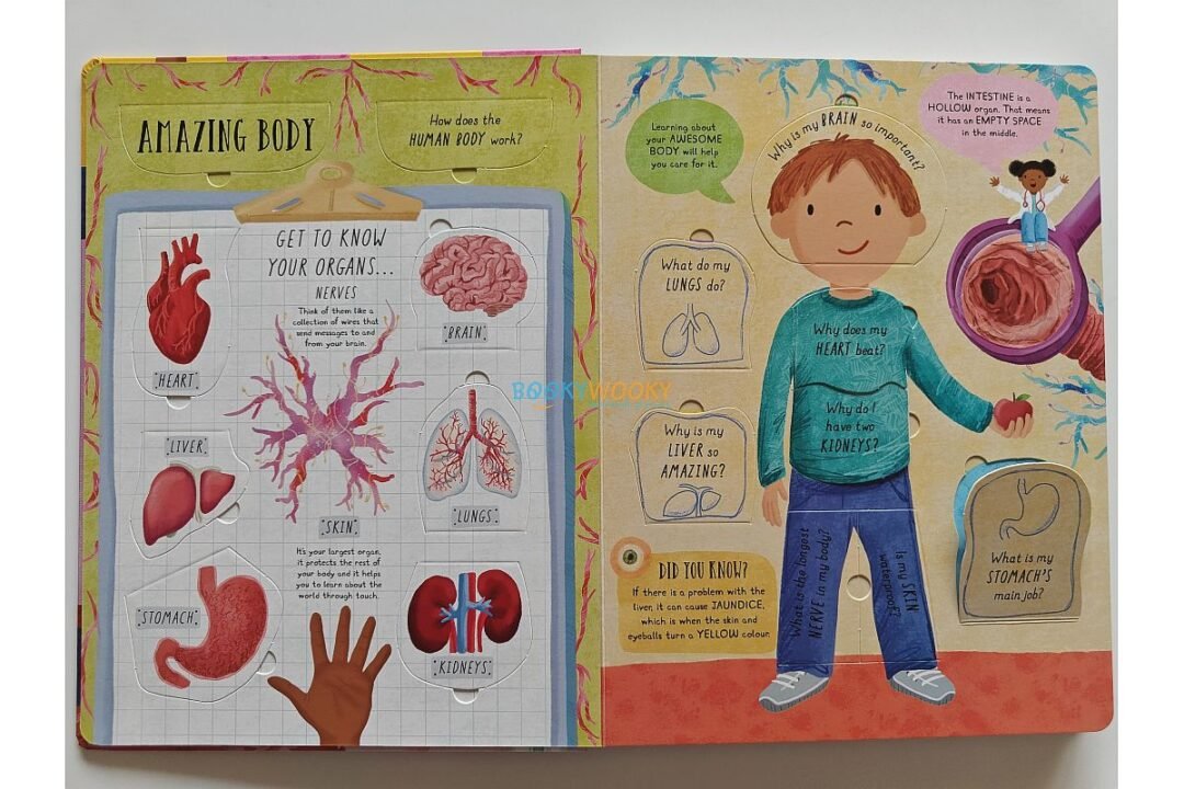 How Does the Human Body Work 9781839234613