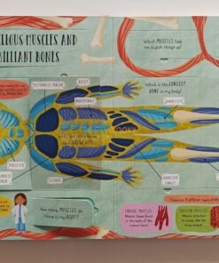 How Does the Human Body Work 9781839234613