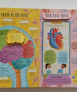 How Does the Human Body Work 9781839234613