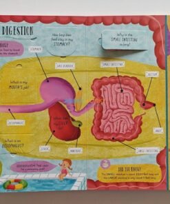 How Does the Human Body Work 9781839234613