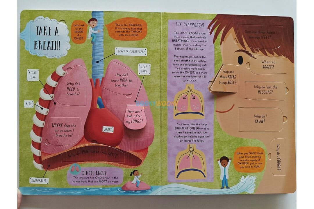 How Does the Human Body Work 9781839234613