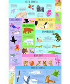 What Did Dinosaurs Eat for Dinner 9781839234606