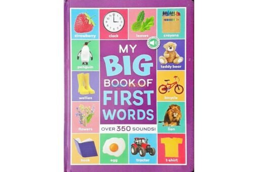 新品未開封　MY BIG BOOK OF WORDS My Big Book of First Words 350 Sounds book – – Booky Wooky