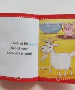 Early Reader Fox Has a Box 9781782705376 (1)