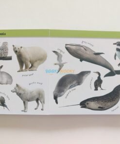Match Ups My First Animals 9781837160631