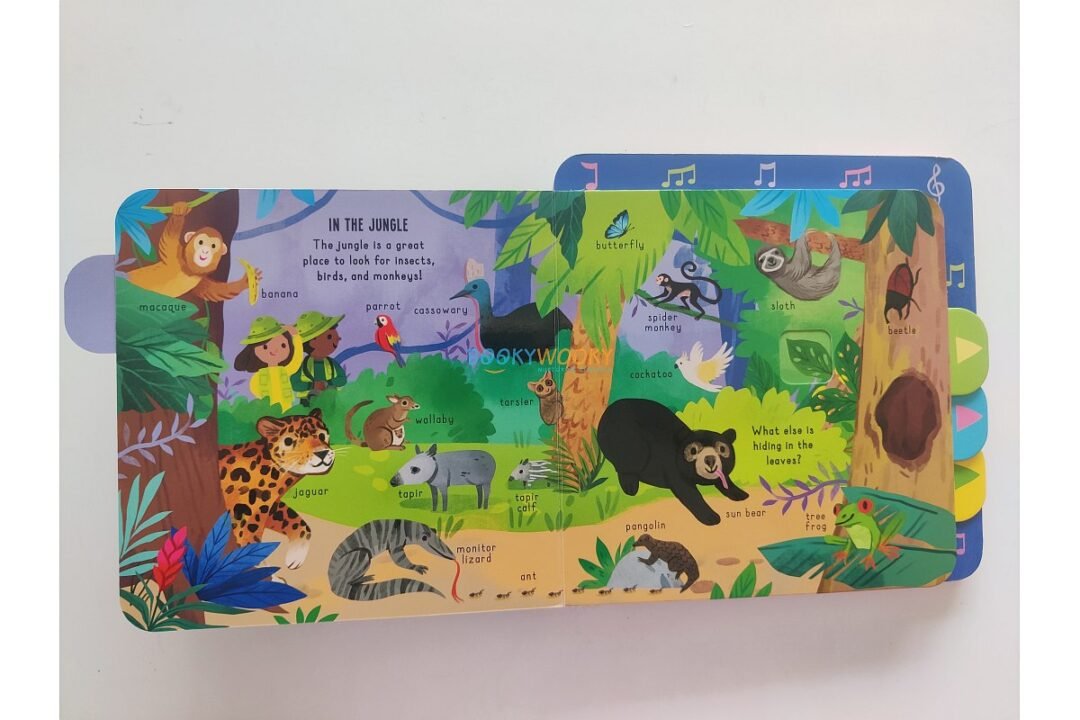 My Pull-Tab Sound Book In the Wild 9781835095218