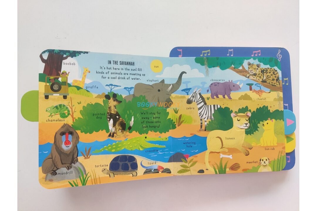 My Pull-Tab Sound Book In the Wild 9781835095218