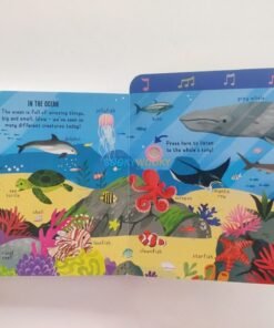 My Pull-Tab Sound Book In the Wild 9781835095218