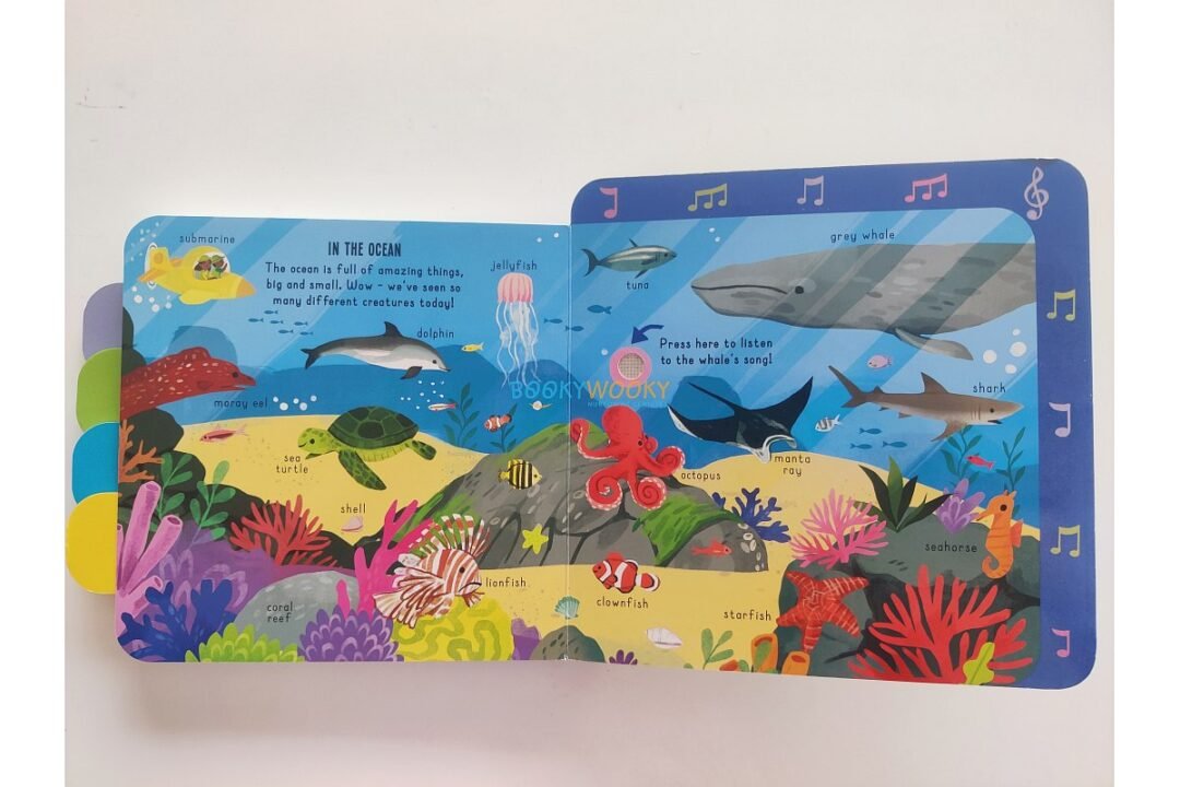 My Pull-Tab Sound Book In the Wild 9781835095218